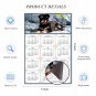 2025 Magnetic Calendar - Calendar Magnets - Today is My Lucky Day - Dogs Themed 010 (8 x 5.25)