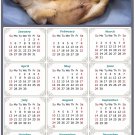 2025 Magnetic Calendar - Calendar Magnets - Today is My Lucky Day - Dogs Themed 013 (7 x 10.5) 2025 Magnetic Calendar - Calendar Magnets - Today is My Lucky Day - Dogs Themed 013 (7 x 10.5)