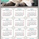 2025 Magnetic Calendar - Calendar Magnets - Today is My Lucky Day - Dogs Themed 015 (7 x 10.5) 2025 Magnetic Calendar - Calendar Magnets - Today is My Lucky Day - Dogs Themed 015 (7 x 10.5)
