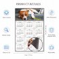 2025 Magnetic Calendar - Calendar Magnets - Today is My Lucky Day - Dogs Themed 017 (7 x 10.5)