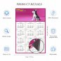 2025 Magnetic Calendar - Calendar Magnets - Today is My Lucky Day - Dogs Themed 023 (7 x 10.5)