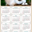 2025 Magnetic Calendar - Calendar Magnets - Today is My Lucky Day - Cat Themed 02 (5.25 x 8)
