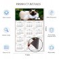 2025 Magnetic Calendar - Calendar Magnets - Today is My Lucky Day - Cat Themed 02 (5.25 x 8)