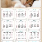 2025 Magnetic Calendar - Calendar Magnets - Today is My Lucky Day - Cat Themed 04 (5.25 x 8)