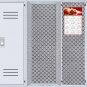 2025 Magnetic Calendar - Calendar Magnets - Today is My Lucky Day - Cat Themed 07 (7 x 10.5)