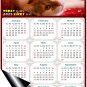 2025 Magnetic Calendar - Calendar Magnets - Today is My Lucky Day - Cat Themed 07 (5.25 x 8)
