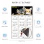 2025 Magnetic Calendar - Calendar Magnets - Today is My Lucky Day - Cat Themed 010 (7 x 10.5)