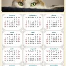 2025 Magnetic Calendar - Calendar Magnets - Today is My Lucky Day - Cat Themed 012 (7 x 10.5) 2025 Magnetic Calendar - Calendar Magnets - Today is My Lucky Day - Cat Themed 012 (7 x 10.5)