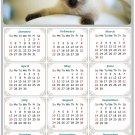 2025 Magnetic Calendar - Calendar Magnets - Today is My Lucky Day - Cat Themed 013 (7 x 10.5)
