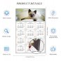 2025 Magnetic Calendar - Calendar Magnets - Today is My Lucky Day - Cat Themed 013 (7 x 10.5)