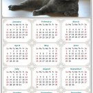 2025 Magnetic Calendar - Calendar Magnets - Today is My Lucky Day - Cat Themed 014 (5.25 x 8)