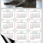 2025 Magnetic Calendar - Calendar Magnets - Today is My Lucky Day - Cat Themed 014 (5.25 x 8)