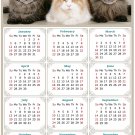 2025 Magnetic Calendar - Calendar Magnets - Today is My Lucky Day - Cat Themed 015 (7 x 10.5)