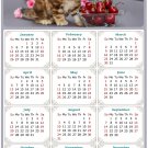 2025 Magnetic Calendar - Calendar Magnets - Today is My Lucky Day - Cat Themed 016 (5.25 x 8)