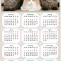 2025 Magnetic Calendar - Calendar Magnets - Today is My Lucky Day - Cat Themed 015 (5.25 x 8)