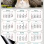 2025 Magnetic Calendar - Calendar Magnets - Today is My Lucky Day - Cat Themed 015 (5.25 x 8)