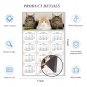 2025 Magnetic Calendar - Calendar Magnets - Today is My Lucky Day - Cat Themed 015 (5.25 x 8)