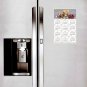 2025 Magnetic Calendar - Calendar Magnets - Today is My Lucky Day - Cat Themed 016 (7 x 10.5)