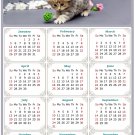 2025 Magnetic Calendar - Calendar Magnets - Today is My Lucky Day - Cat Themed 017 (5.25 x 8)