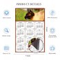 2025 Magnetic Calendar - Calendar Magnets - Today is My Lucky Day - Cat Themed 03 (5.25 x 8)
