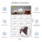 2025 Magnetic Calendar - Calendar Magnets - Today is My Lucky Day - Cat Themed 019 (5.25 x 8)