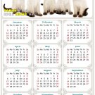 2025 Magnetic Calendar - Calendar Magnets - Today is My Lucky Day - Cat Themed 020 (5.25 x 8)