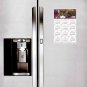 2025 Magnetic Calendar - Calendar Magnets - Today is my Lucky Day - Cat Themed 022 (7 x 10.5)