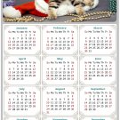 2025 Magnetic Calendar - Calendar Magnets - Today is my Lucky Day - Cat Themed 023 (7 x 10.5)