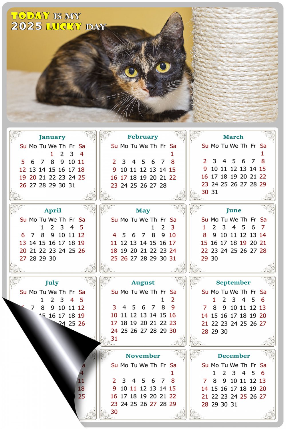 2025 Calendar Calendar Today is my Lucky Day Cat