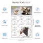 2025 Magnetic Calendar - Calendar Magnets - Today is my Lucky Day - Cat Themed 025 (7 x 10.5)