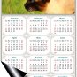 2025 Magnetic Calendar - Calendar Magnets - Today is My Lucky Day - Cat Themed 03 (7 x 10.5)