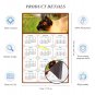 2025 Magnetic Calendar - Calendar Magnets - Today is My Lucky Day - Cat Themed 03 (7 x 10.5)