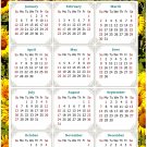 2025 Magnetic Calendar - Calendar Magnets - Today is my Lucky Day - Themed 030 (5.25 x 8)