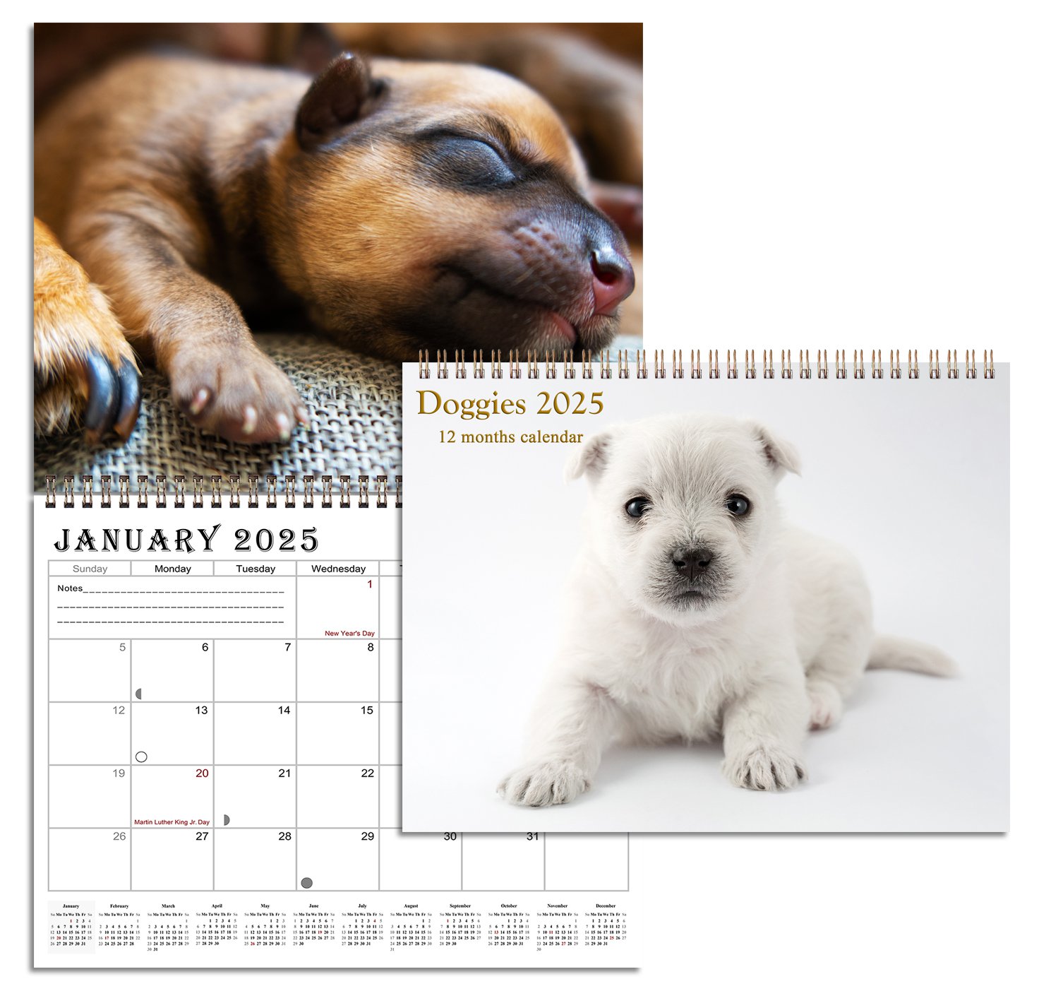 2025 Spiralbound Wall Calendar (Puppies Dogs) 12 Months Desktop (11x17)