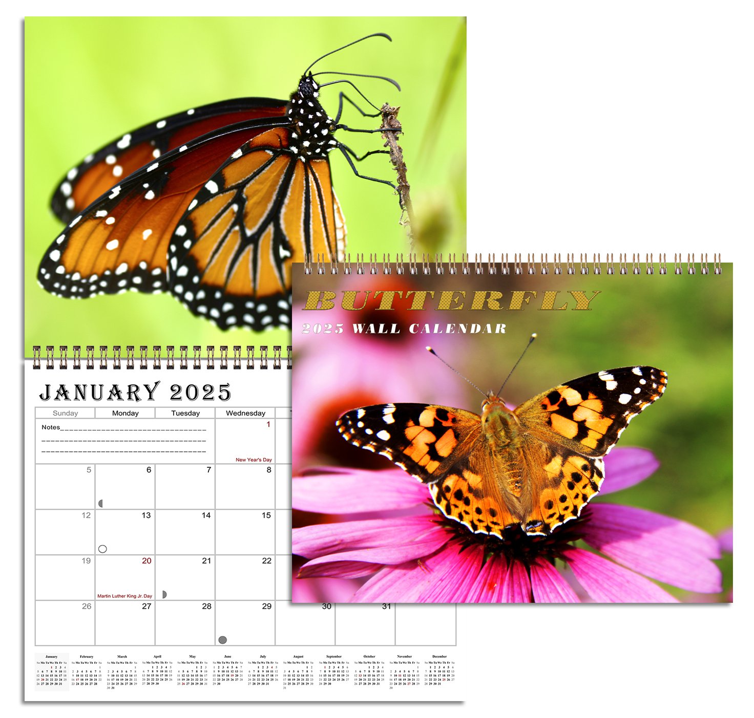 2025 Spiralbound Wall Calendar (Butterfly) 12 Months Desktop (11x17)