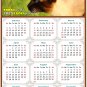 2025 Magnetic Calendar - Calendar Magnets - Today is My Lucky Day - Cat Themed 03 (7 x 10.5)