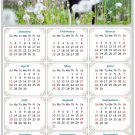 2025 Magnetic Calendar - Calendar Magnets - Today is My Lucky Day - Cat Themed 05 (7 x 10.5) 2025 Magnetic Calendar - Calendar Magnets - Today is My Lucky Day - Cat Themed 05 (7 x 10.5)
