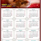 2025 Magnetic Calendar - Calendar Magnets - Today is My Lucky Day - Cat Themed 07 (5.25 x 8)