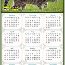 2025 Magnetic Calendar - Calendar Magnets - Today is My Lucky Day - Cat Themed 09 (5.25 x 8)