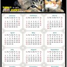 2025 Magnetic Calendar - Calendar Magnets - Today is My Lucky Day - Cat Themed 010 (5.25 x 8)
