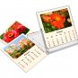 2026 CD-Style Desk Calendar 12 Months Calendar / Planner / (Flowers)
