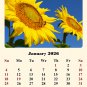 2026 CD-Style Desk Calendar 12 Months Calendar / Planner / (Sunflowers)