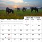 2026 CD-Style Desk Calendar 12 Months Calendar / Planner / (Horses)