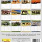2026 CD-Style Desk Calendar 12 Months Calendar / Planner / (Horses)