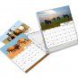 2026 CD-Style Desk Calendar 12 Months Calendar / Planner / (Horses)
