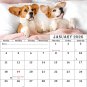 2026 CD-Style Desk Calendar 12 Months Calendar / Planner / (Dogs)