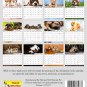 2026 CD-Style Desk Calendar 12 Months Calendar / Planner / (Dogs)