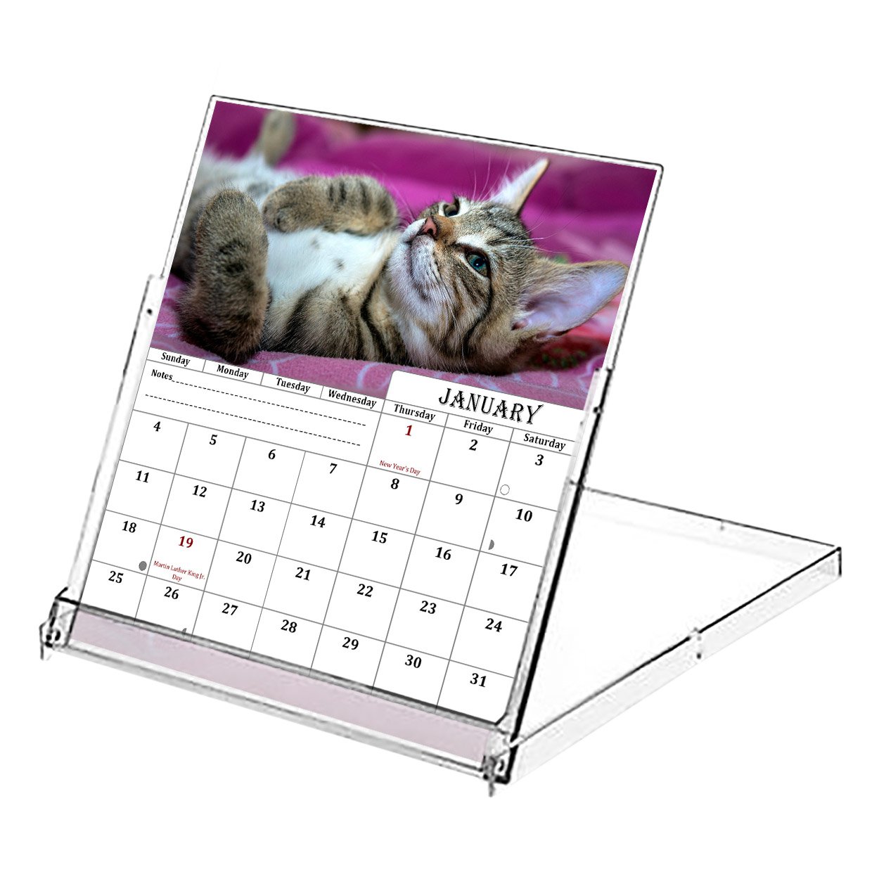 2026 CD-Style Desk Calendar 12 Months Calendar / Planner / (Cats)