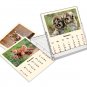 2026 CD-Style Desk Calendar 12 Months Calendar / Planner / (Baby Animals)