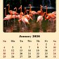2026 CD-Style Desk Calendar 12 Months Calendar / Planner / (Birds)